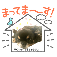 shiho_20220402105933