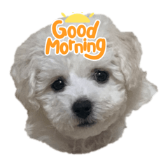 Mizuki_20220402105811