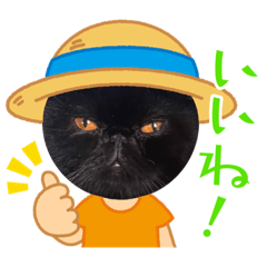 jiji_0406