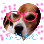 Yama_20220402113104