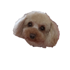 YK_20220401164830