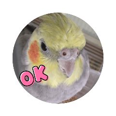 kazuki_20220401192846