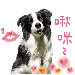 MBGC專屬貼圖