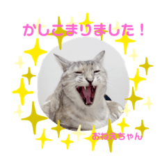 CREAM_20220401194935