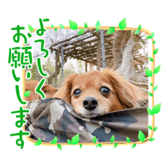 miki_20220401203628