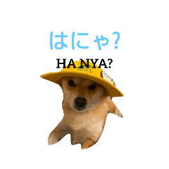 C_20220402132514