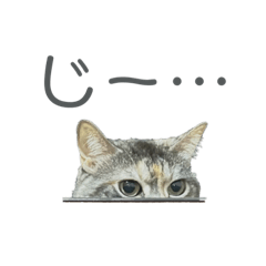 shiho_20220401221255