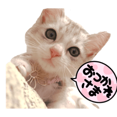 aoi_20220401202041