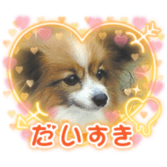 alice_20220401225304