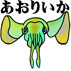 The bigfin reef squid of Bonin Islands