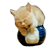 Warmth!