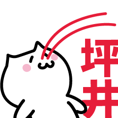 LAST NAME Sticker TSUBOI !!!