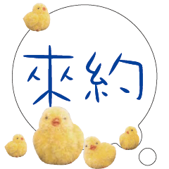 CUTE Chick Bird conversationexpression03