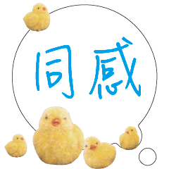 CUTE Chick Bird conversationexpression02