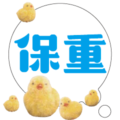 CUTE Chick Bird conversationexpression08