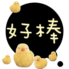 CUTE Chick Bird conversationexpression09