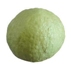 Food Series : Some Guava #2