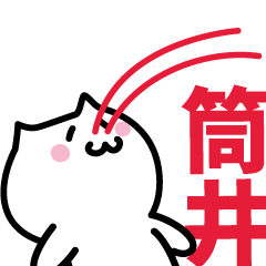 LAST NAME Sticker TSUTSUI !!!