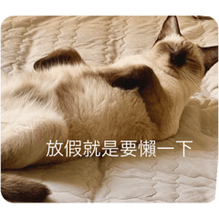 暹邏貓的日常貼圖—實用篇2