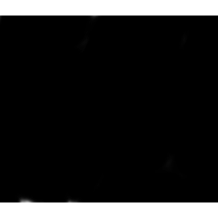tanuki_20220402010858