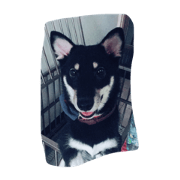 Happy Miru