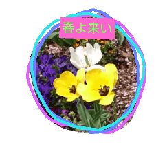 Come, spring