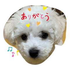 Mizuki_20220402195452