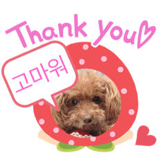 Asako_20220402204031