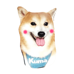KUMA's Ordinary Life