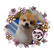 ake_20220402214314