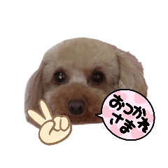 YK_20220402222759