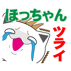 Hochan's dedicated Sticker