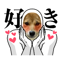 saori_20220403103721