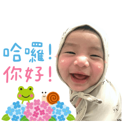 踢踢寶表情包2