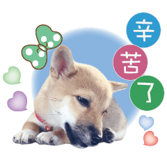 旺財集團-.鄭總裁