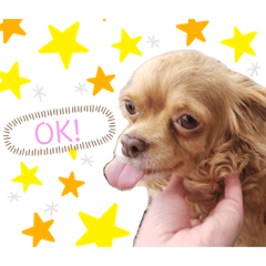 Shiho_20220403012923