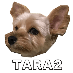 TARA2