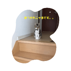 kaito_20220402200526