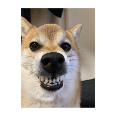 YAMADA_20220403115407