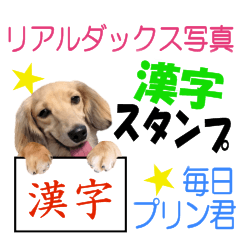 Dachshund Purin's [KANJI] Sticker