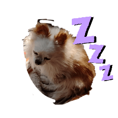 ringo_20220402191304