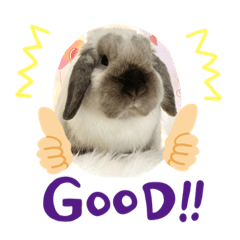 Nozomi_20220402223832