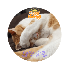 naho_20220402225858