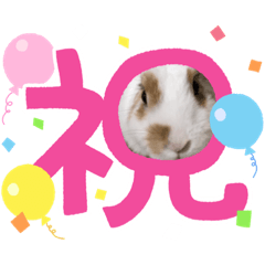 shiho_20220403124634