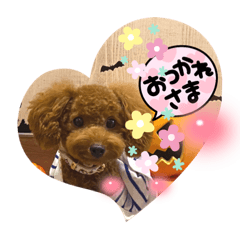 shiho_20220403131928