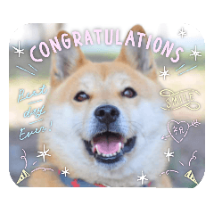 akiko_20220403141449