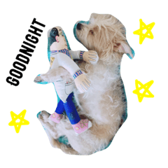 Shichi Einstein