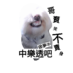 Baby dog Love you