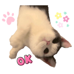 廢物奶凍2