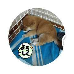 akiko_20220403145943